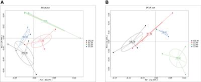 Different changes of bacterial diversity and soil metabolites in tea plants-legume intercropping systems